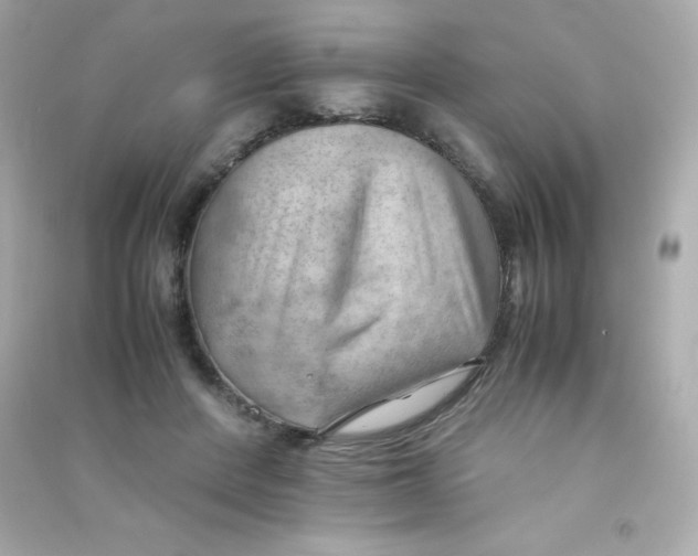 X0000090430408200708102009
