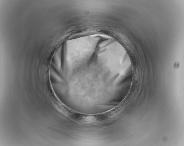 X0000090430409200708102009