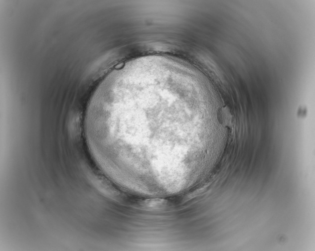 X0000090430410200708102009