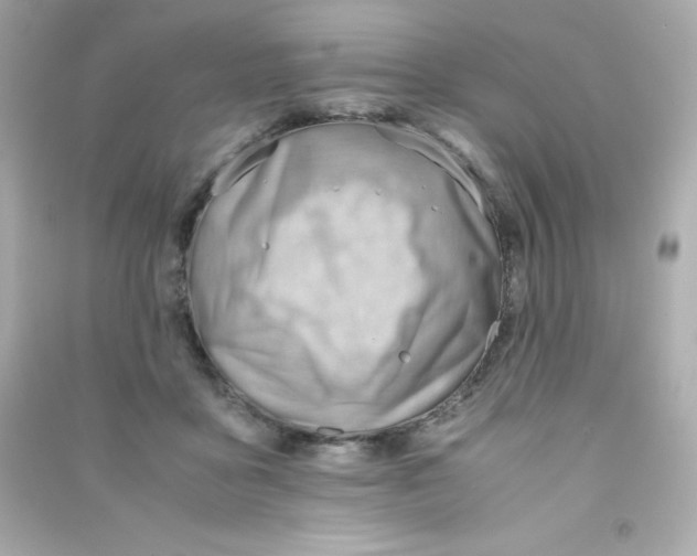 X0000090430411200708102009