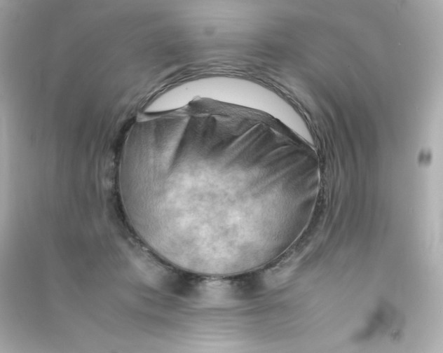 X0000090430413200708102009