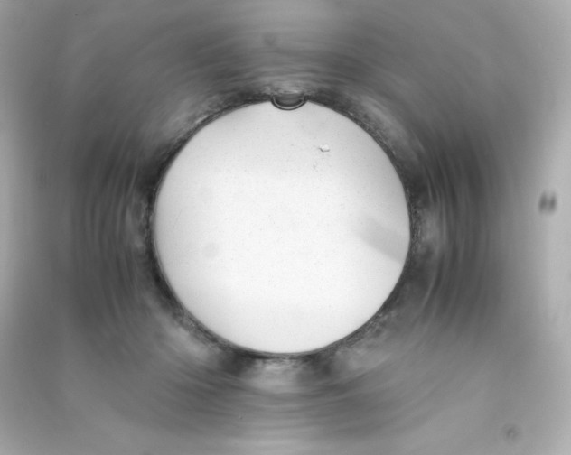 X0000090430414200708102009