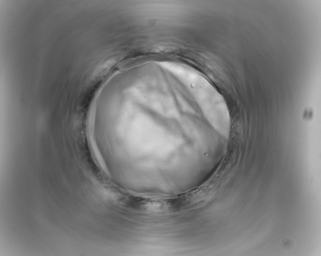 X0000090430415200708102009