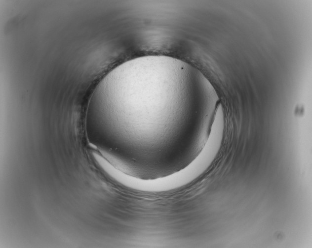 X0000090430416200708102009