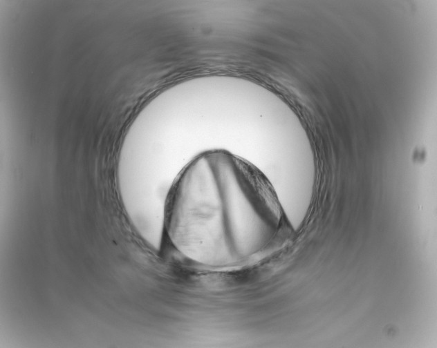 X0000090430417200708102009