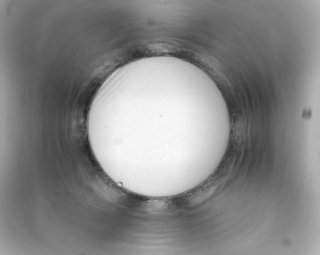 X0000090430418200708102009