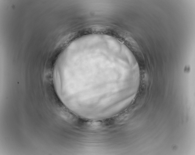 X0000090430419200708102009