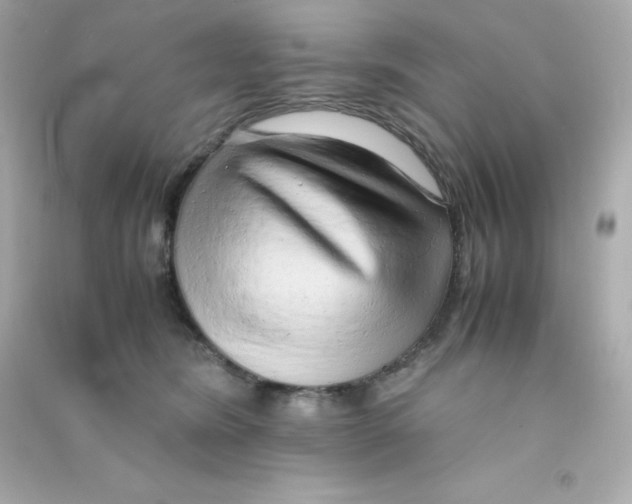 X0000090430420200708102009