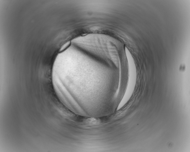 X0000090430421200708102009