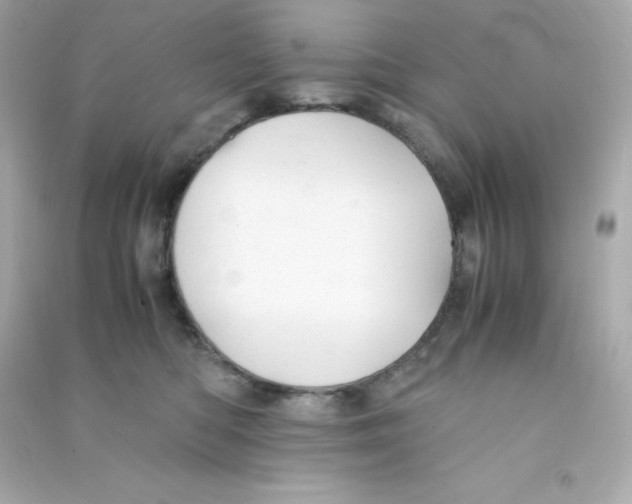 X0000090430422200708102009