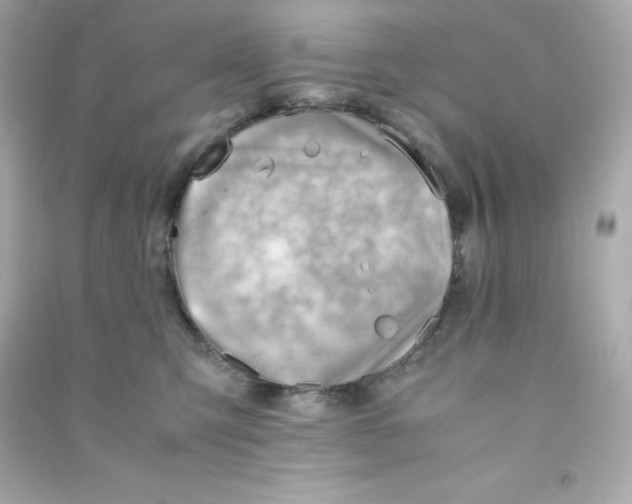 X0000090430423200708102009