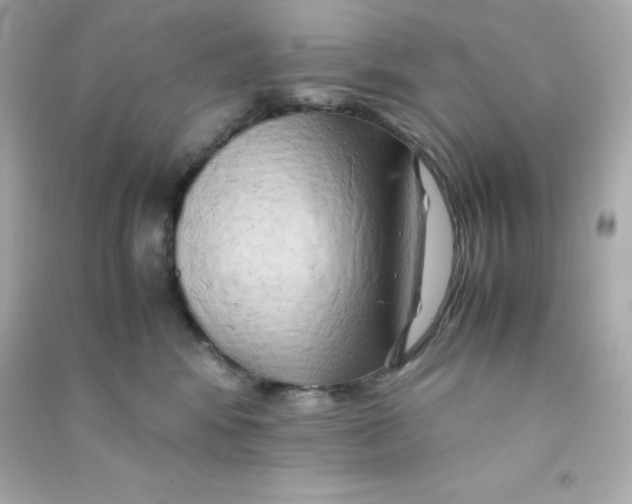 X0000090430424200708102009