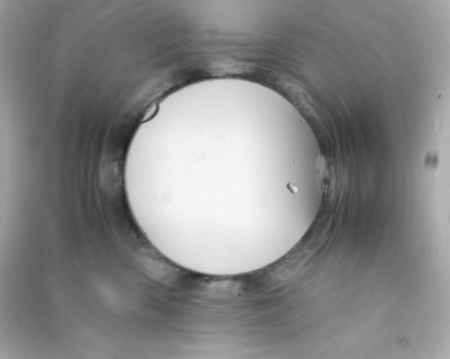 X0000090430426200708102009