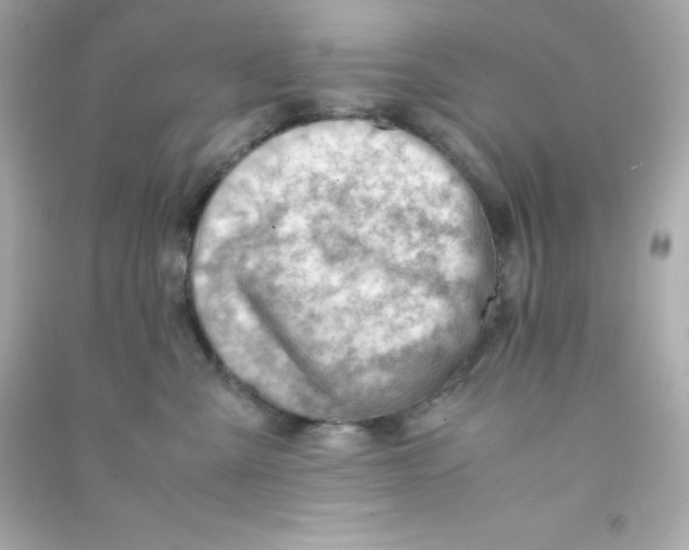 X0000090430427200708102009