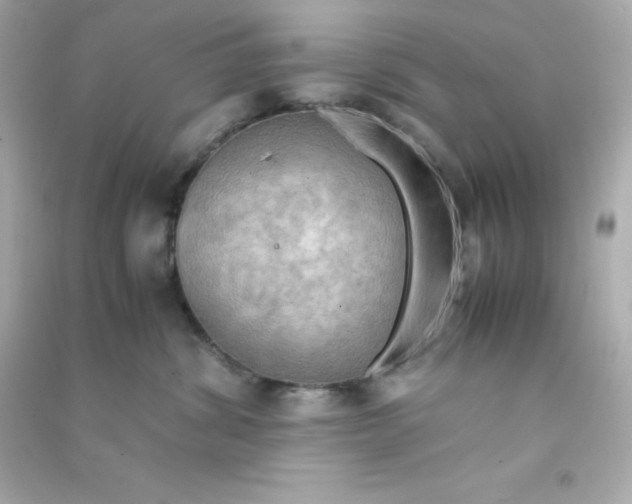 X0000090430428200708102009