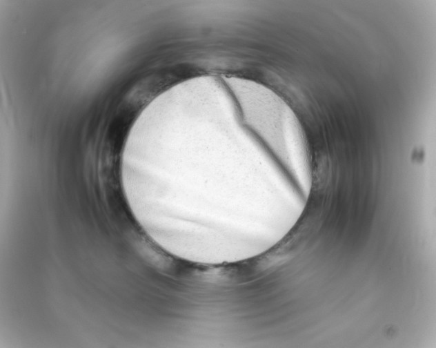 X0000090430430200708102009