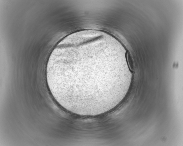 X0000090430433200708102008