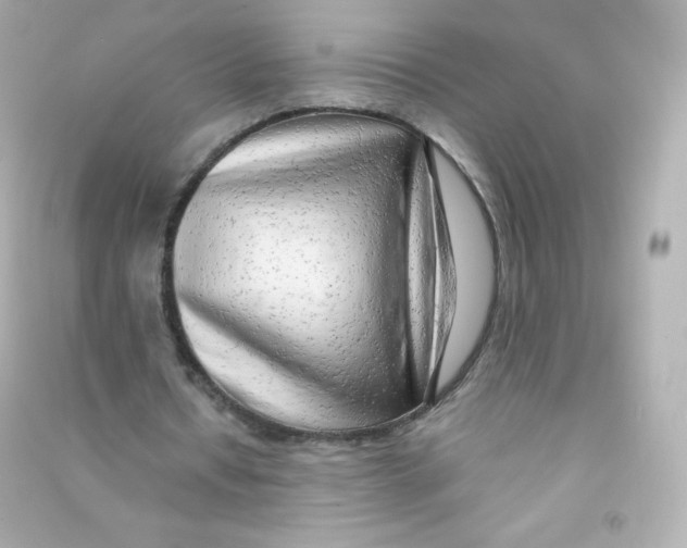 X0000090430434200708102008