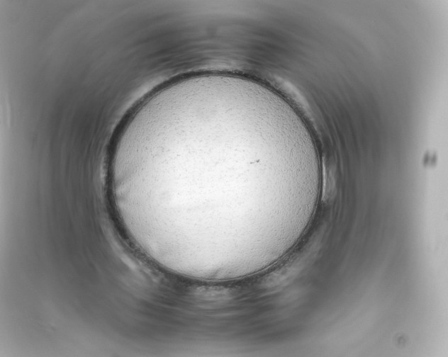 X0000090430435200708102008