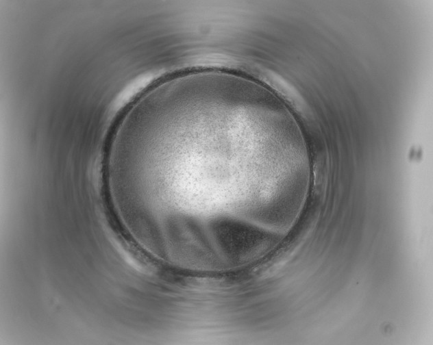 X0000090430436200708102008