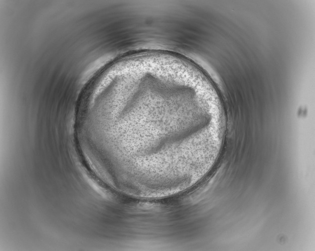 X0000090430437200708102008