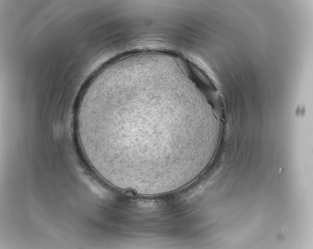 X0000090430439200708102008
