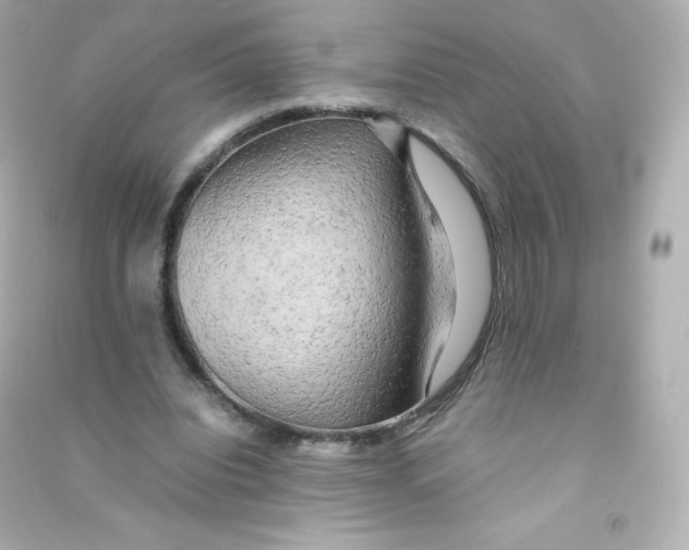 X0000090430440200708102008