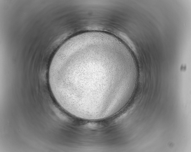 X0000090430441200708102008