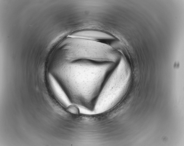 X0000090430442200708102008