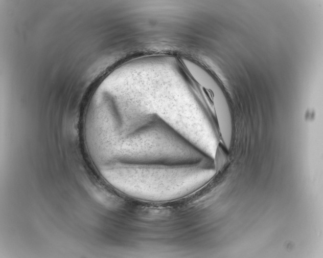 X0000090430443200708102008