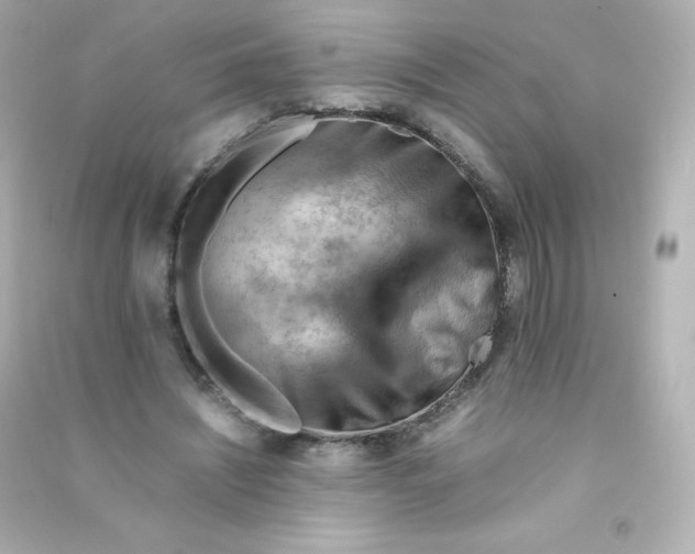 X0000090430444200708102008