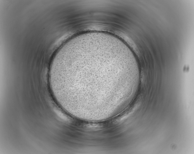 X0000090430445200708102008