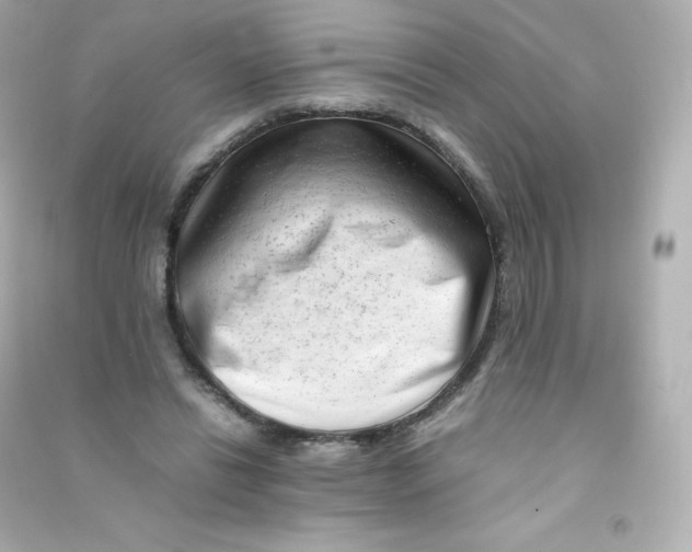 X0000090430446200708102008