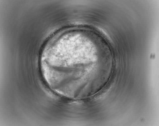 X0000090430447200708102008