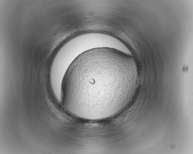 X0000090430448200708102008