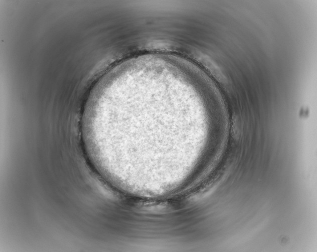 X0000090430449200708102008