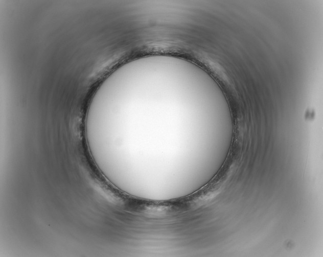 X0000090430450200708102008