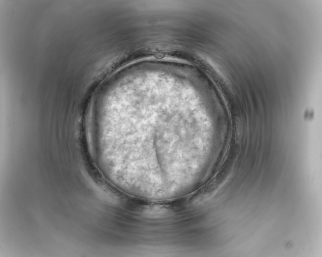 X0000090430451200708102008