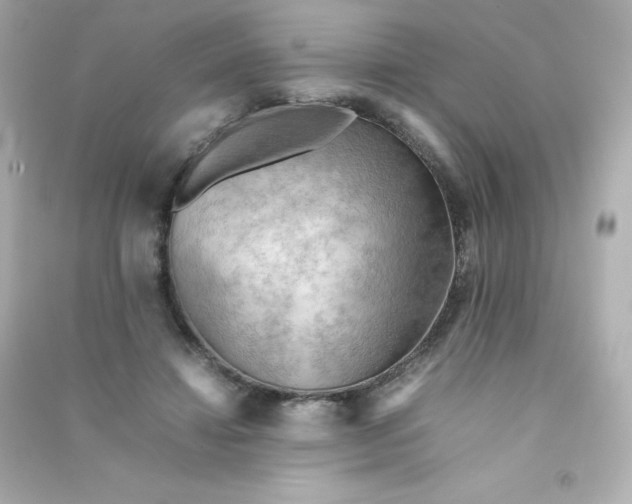 X0000090430452200708102008