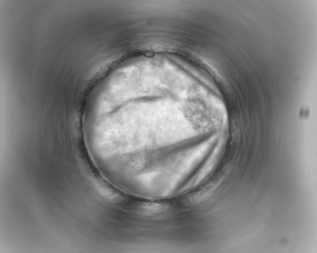 X0000090430453200708102009