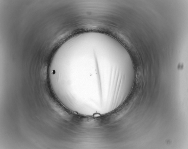 X0000090430454200708102009