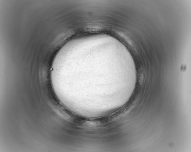 X0000090430455200708102009