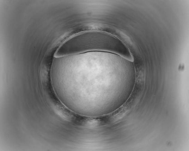 X0000090430456200708102009