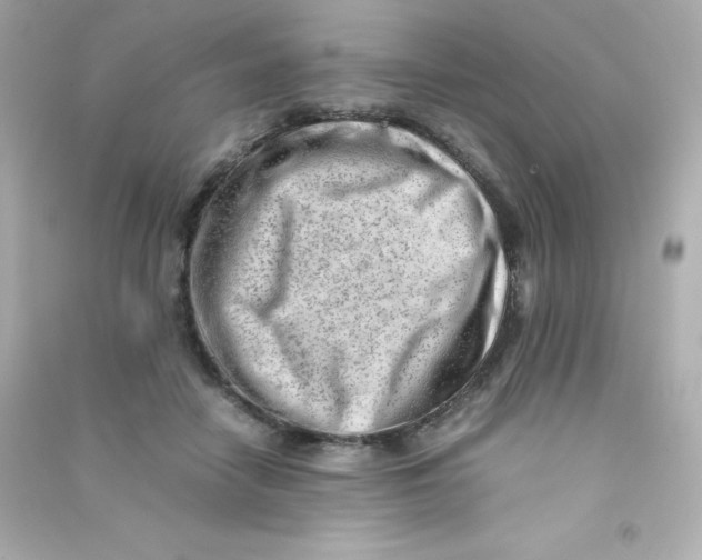 X0000090430458200708102009