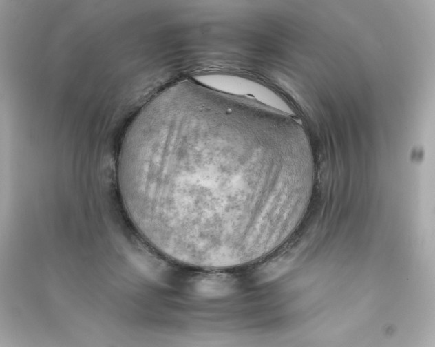 X0000090430459200708102009