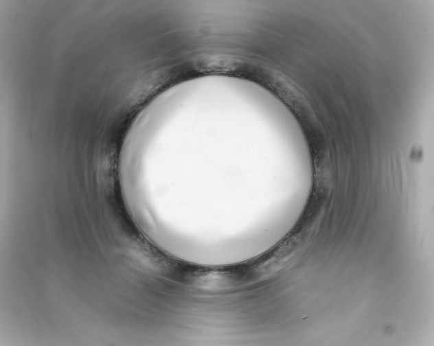 X0000090430460200708102009
