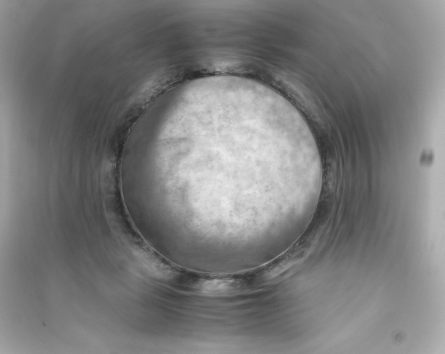 X0000090430461200708102009