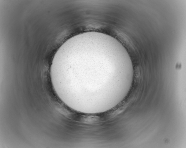 X0000090430463200708102009