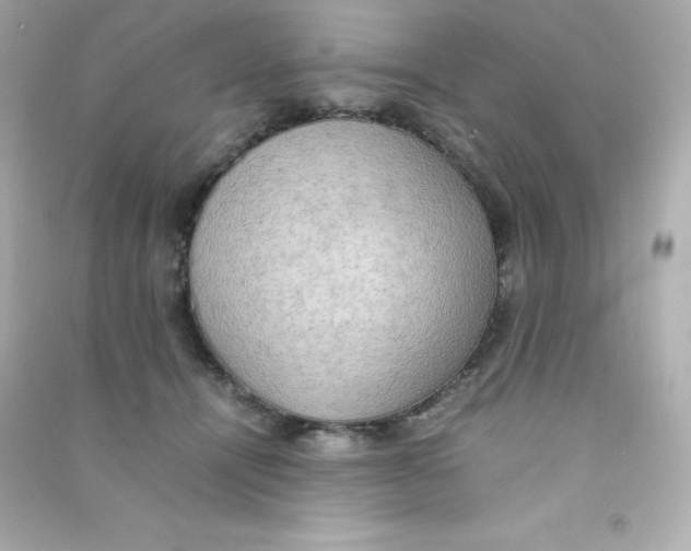 X0000090430464200708102009
