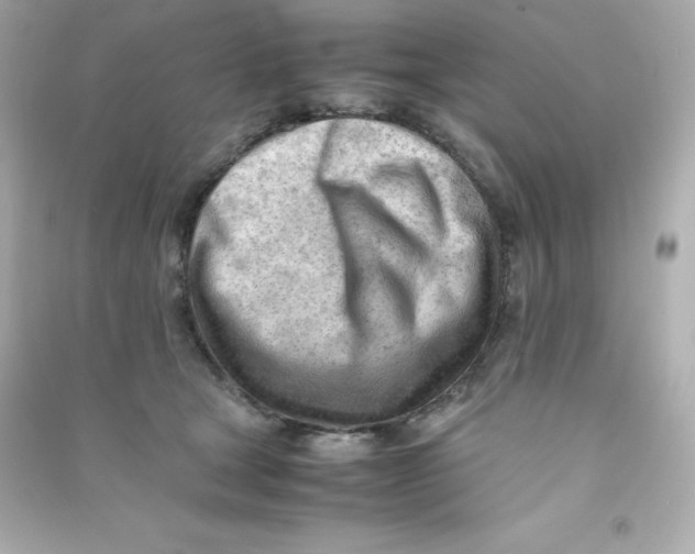 X0000090430465200708102009